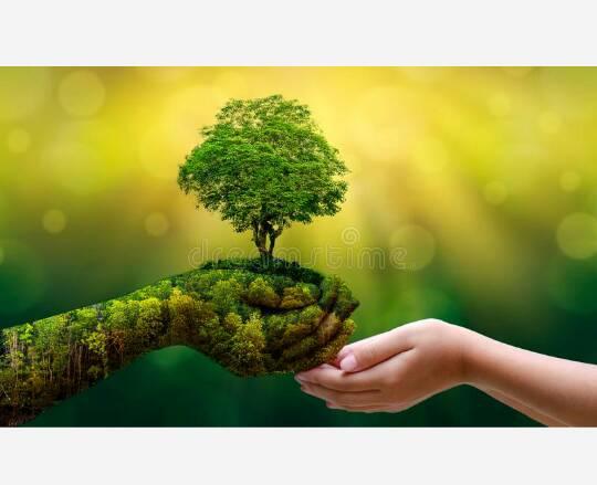 eco sensitive education